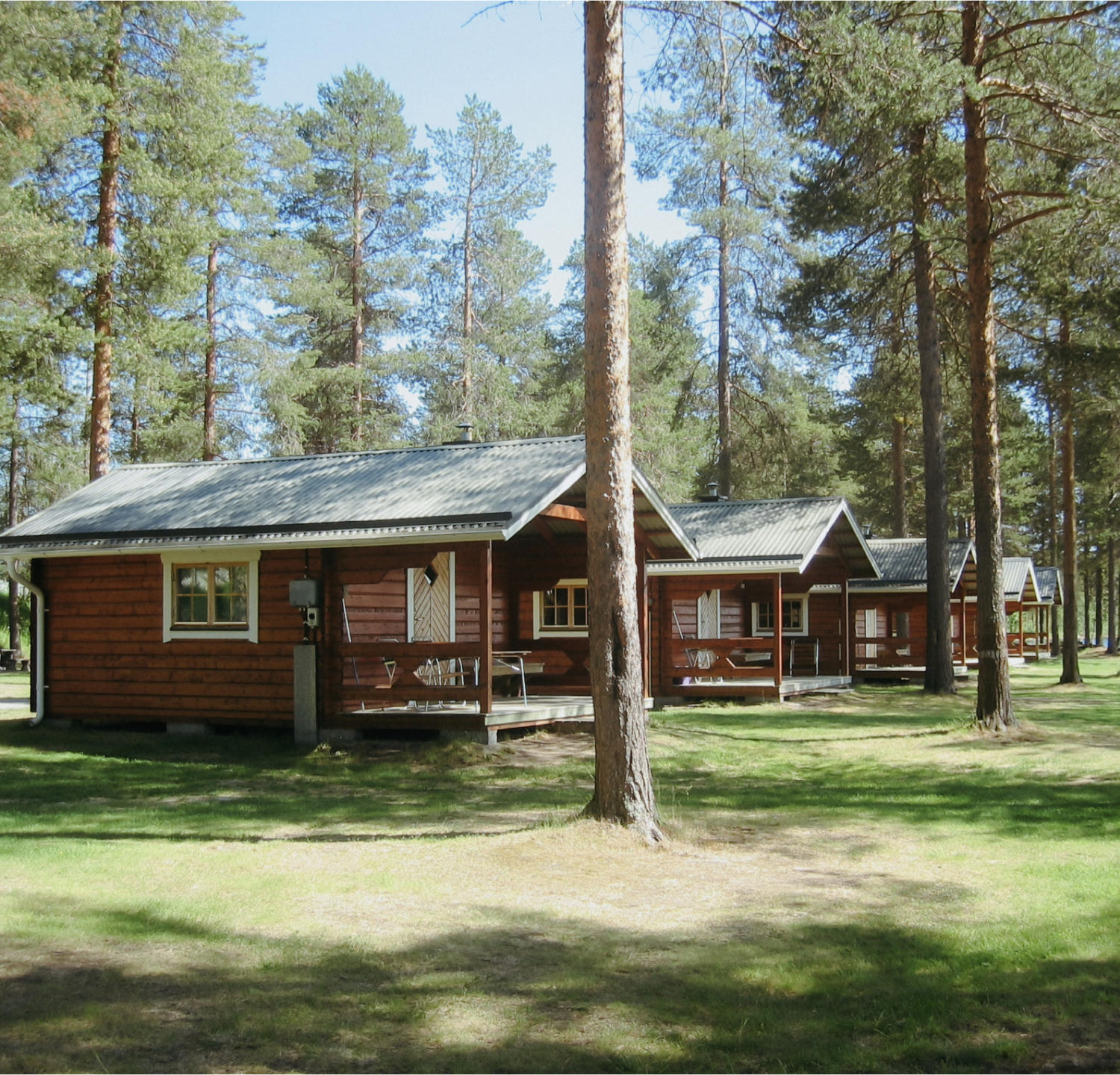 Image (2)